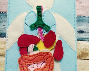 Anatomy board - felt board with 15 organ pieces - learning board - Medical Play Set - human body - busy board - quiet book page - activity