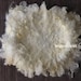 22"x 21" Natural cream color Curly felted layer. Newborn photo prop blanket. Made from fine merino wool and sheep fleece. Ready to ship
