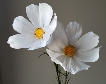 Two White Crepe Paper Cosmos - Crepe Paper Flowers