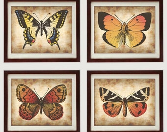 INSTANT DOWNLOAD Parchment Colorful Orange Red Yellow Set of 4 Butterfly Butterflies Printable Print Art Wall Decor Vintage Style Animal