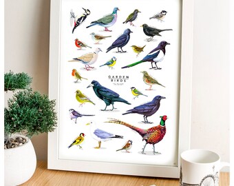 Garden Birds, Birds Print, British Wildlife, Bird Poster, Art Print, Kitchen Wall Art, Bird Print, Wildlife Art, Farmhouse Decor