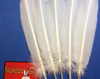 Native American Regalia *Nakoda Made* Replica BALD EAGLE TAIL Feather Fan Set
