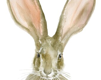 Jack Rabbit Watercolor Reproduction - 4 x 6 - Giclee Fine Art Print - Bunny Painting