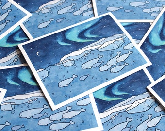 Belugas Holiday Card Set - Arctic Northern Lights