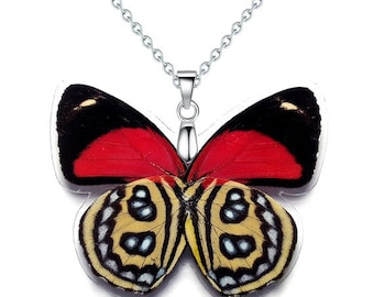 Real Butterfly Wing Necklace / Pendant (WHOLE Callicore Cyllene Butterfly - W045)