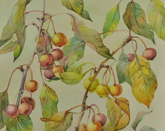 Watercolor painting original. Cherry painting. Watercolor paint by hand. Original art only. Fruits art. Nursery art. Kitchen decor.