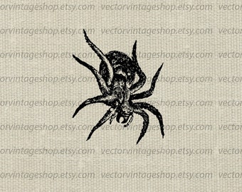 Spider clip art  Etsy