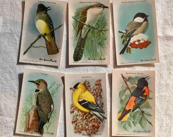Useful Birds of America collecting cards | Series 10 | complete set | Arm & Hammer| birds | advertising cards