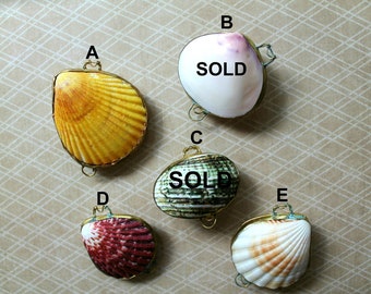vintage shell trinket box hinged in brass, coastal decor, ring presentation box, beach wedding, seashell trinket box