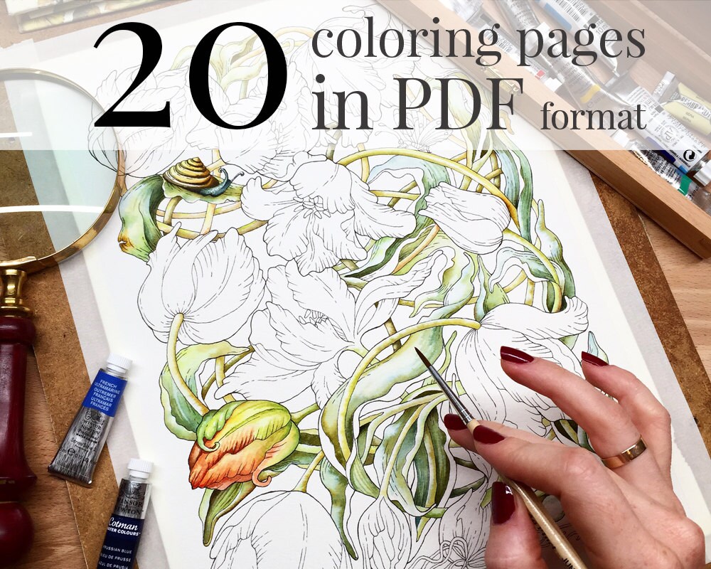 Coloring book Botanical weave. Coloring pages for