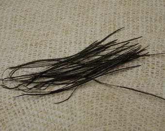 100 about 9cm natural Peacock feather plumes