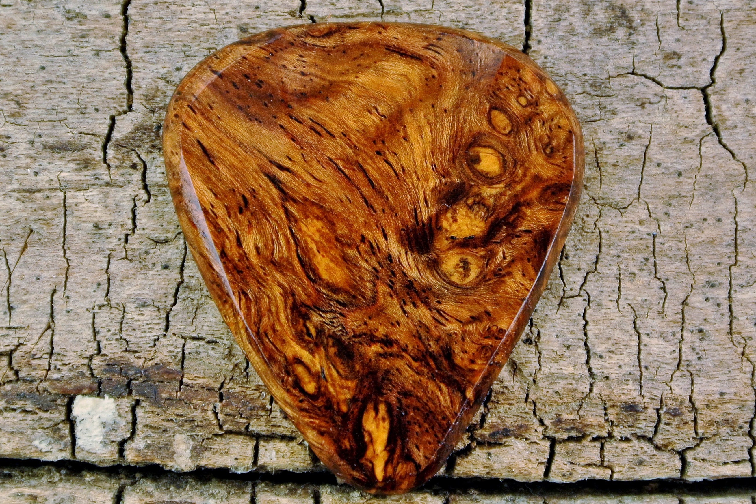 Honduran Rosewood Burl EXTREMELY RARE WOOD Limited Availability