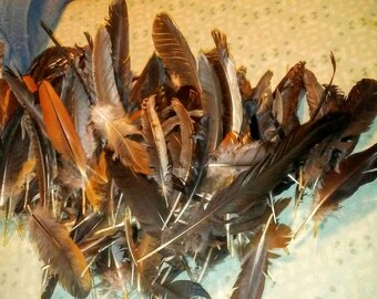 Lot of Various Natural Molt Chicken Feathers- Crafts, Jewelry