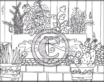 Cactus coloring page | Etsy