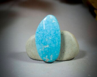 Nevada Turquoise Cabochon 40-4792