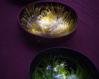 Ornamental bowls / decorative bowls
