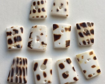 Drilled Shell Chips from The Philippines - 10 pieces
