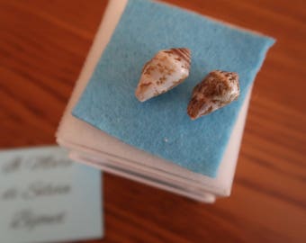 Seashell sealover earrings with real seashells handcollected in Italy
