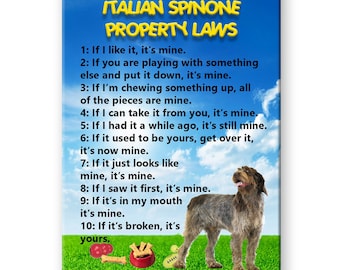 Italian Spinone Property Laws Fridge Magnet No 2