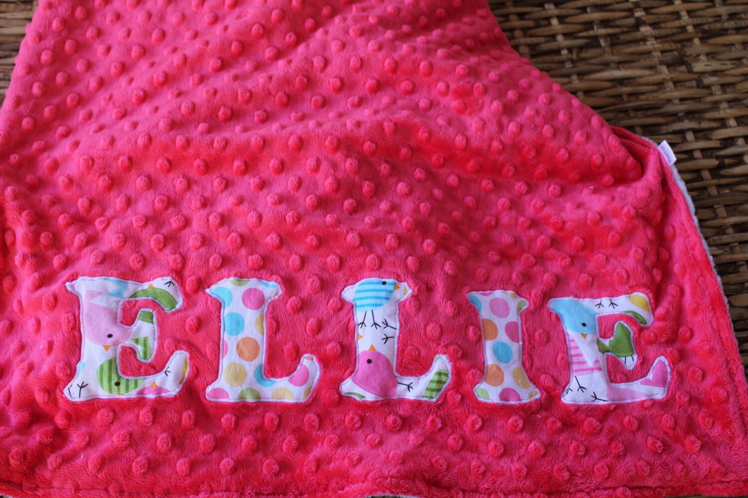 PERSONALIZED BLANKET Baby/Toddler/Child Minky Blanket