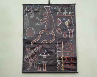 Auzoux - Sougy - Hydra - 1962 vintage school wall poster