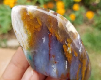 petrified wood opal