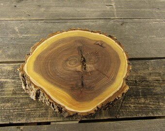 Large Elm Tree Slice- Wall Hanging, Candle Stand, Centerpiece, Large Wood Slice, Cake Stand (WS6042)