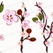 Instant download 300dpi png sakura borders frames drawing print clip art party wall logo design banner vector web square pink diy floral set