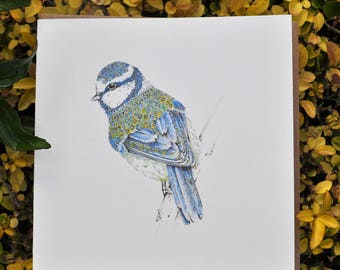 Bluetit greeting card 6x6''