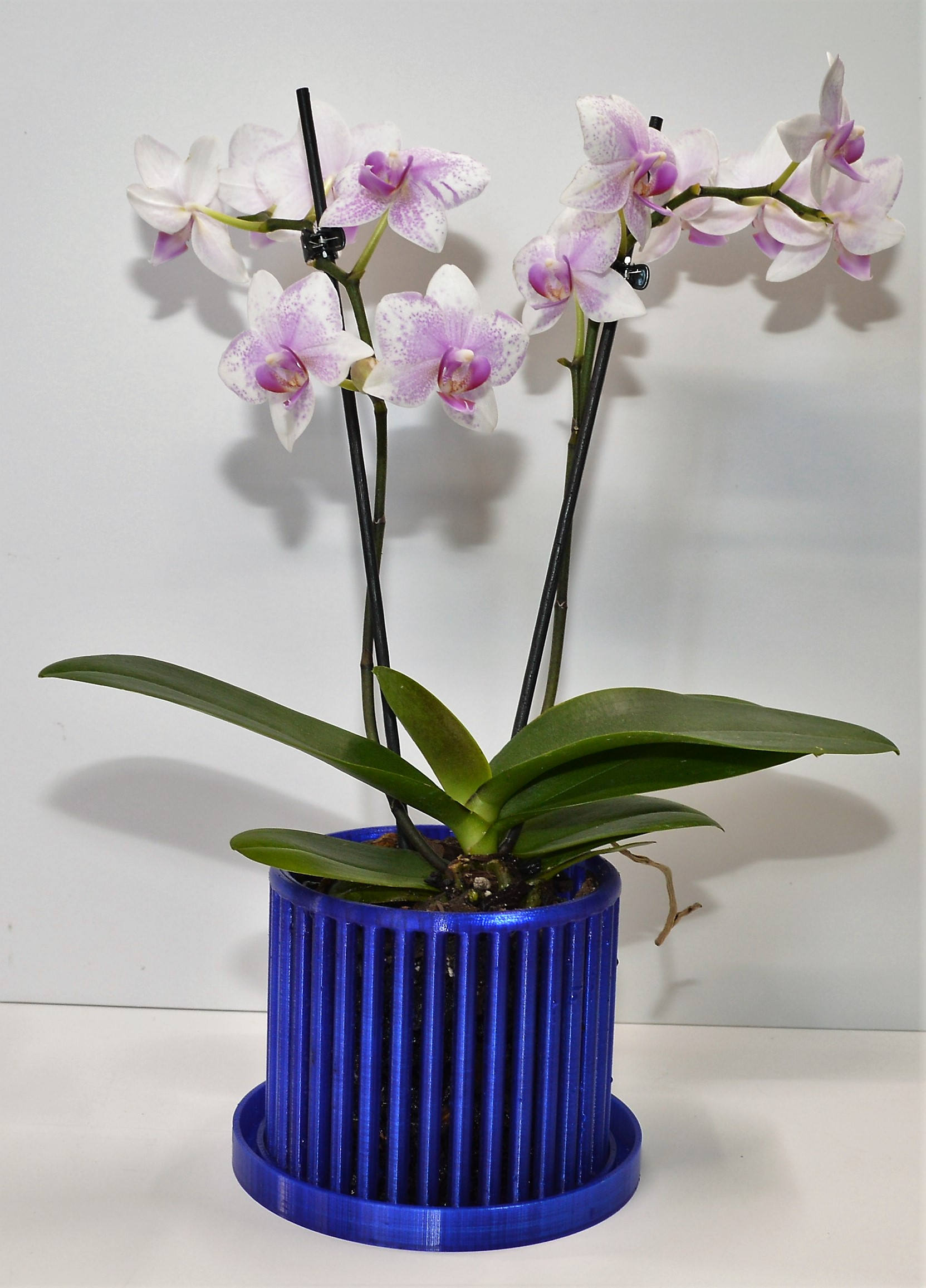 Carousel Orchid Pots with Drip Trays