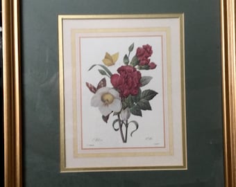 ELEGANT and FRAMED, PRINT of painting by P. J. Redoute.