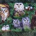 Owls zippered pouch, makeup case, zippered pouch, accessory bag, The Scooter