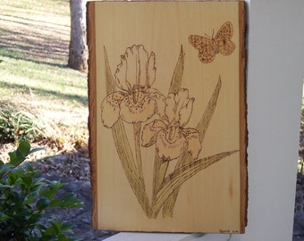 Iris With Butterfly Woodburning Pyrography