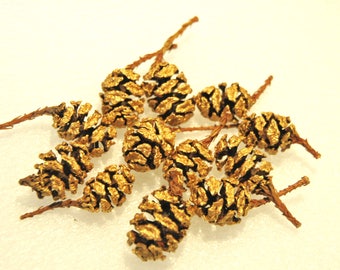 30 Golden redwood cones for craft,home decor,Floral,Wreath. 30 cones