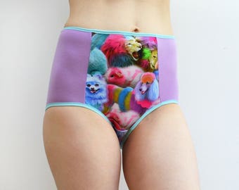 Panties with Rainbow poodle panel, lingerie, underwear