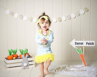 Easter carrot patch photography prop