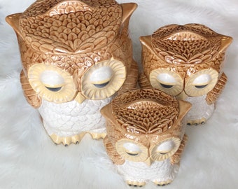 1980s Owl Canisters -Set Of 3- Ceramic Kitchen Decor Vintage Storage -Coffee Flour Sugar Tea- Sleepy Owls