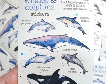 Whale and dolphin stickers, animal stickers