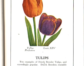 All About Flowering Bulbs For Home and Garden + T. A. Weston + 1931 + Vintage Book