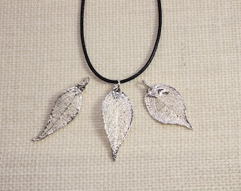 SALE Leaf Necklace, Real Evergreen Leaf, Silver Evergreen Leaf, Silver, Real Leaf Necklace, Silver Evergreen Leaf Pendant, SALE215