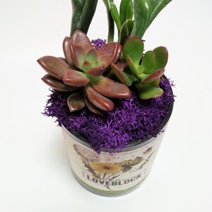 Wine Bottle Garden / Wedding Favor / Babyshower Centerpiece / Glass Succulent Planter / Wine Gifts / Gift Ideas Indoor Plants / Cut bottle