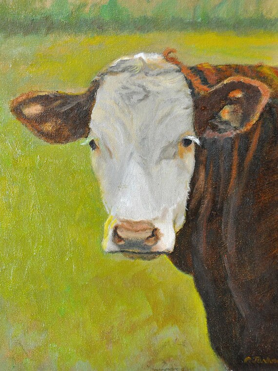 Cow Art Print Hereford Cow Art Cow Portrait Art Cow Print