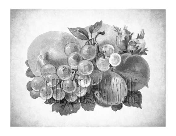 grayscale coloring pages