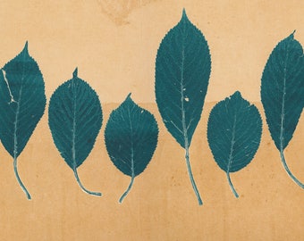 Leaves On Sand Giclee Print