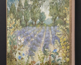 French Lavender