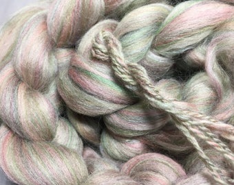 Rose and Thyme Multi Colored Merino/Corriedale Spinning Fiber - Exclusive!