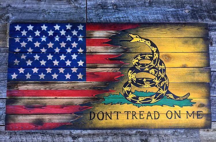 Don't Tread on Me USA flag American Flag Gadsden Flag