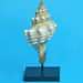 Center Post Base- Bendable Display Stand for shells and other hollow objects- 5 inches tall