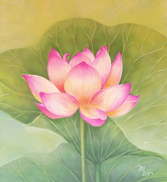 Lotus Painting Acrylic Lotus Painting Acrylic