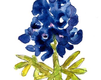 Bluebonnet Digital Print